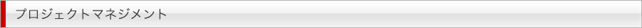 プロジェクトマネジメント